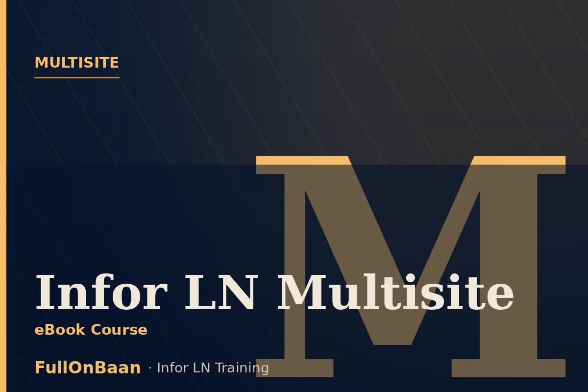 Infor LN Multisite Training — Concepts, Activation, Enterprise Structure, Intercompany Trade